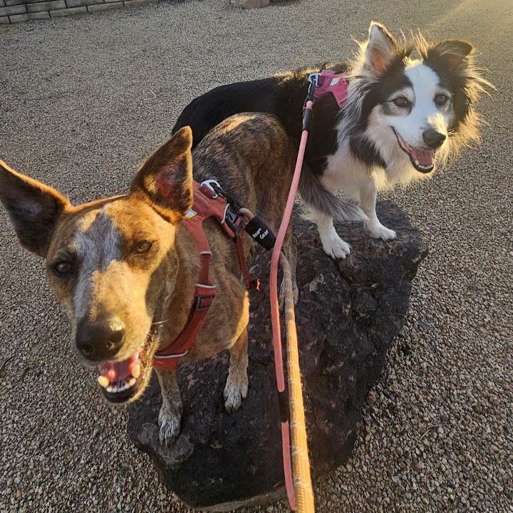 Nahla and Matilda